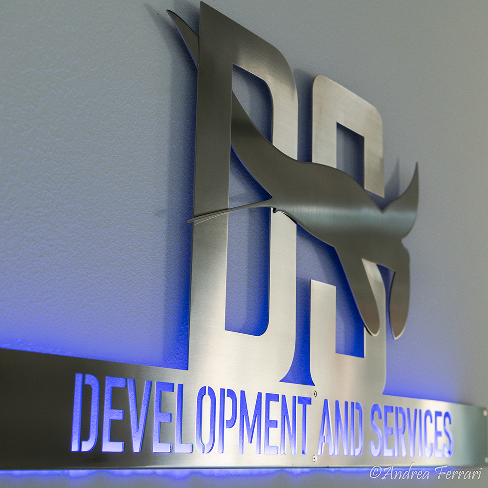 Logo-DS